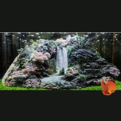 NGỌC TUYỀN LÂM PHONG - NGỌC TỤ NHAM