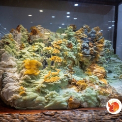 Ngự Viên Trong Ngọc