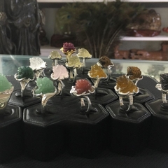 Nhẫn Cóc - Cụ Khiết