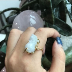 Nhẫn Tỳ Hưu