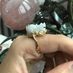 Nhẫn Tỳ Hưu