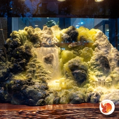 Sơn Thanh Thủy Tú