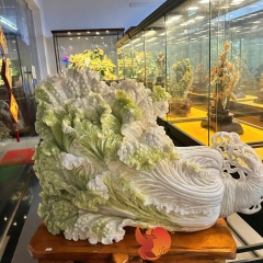 Tụ Bảo Sinh Tài - Cây Bắp Cải