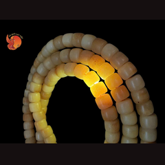 Tịnh Ngọc Dưỡng Tâm - Ngọc Hoà Điền – Hetian