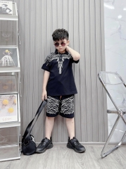 Bộ trụ bé trai cotton in hình cánh chim (11-25kg)