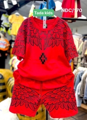 Bộ bé trai cotton in hình  cánh chim (13-26kg)