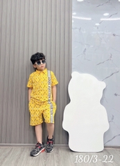 Bộ trụ bé trai cotton in hình  LV (11-25kg)