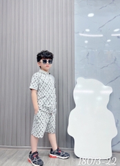 Bộ trụ bé trai cotton in hình  LV (11-25kg)