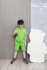 Bộ trụ bé trai cotton in hình  LV (11-25kg)