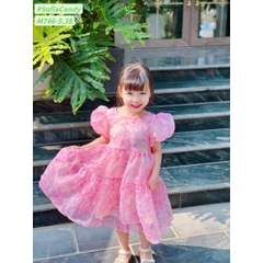 ĐẦM CÔNG CHÚA XINH, NHẸ, BỒNG BỀNH (10-40kG)