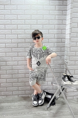 BỘ BÉ TRAI COTTON IN HÌNH CÁNH CHIM (26-42kg)