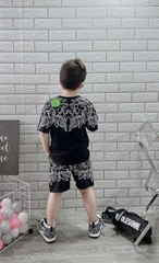 BỘ BÉ TRAI COTTON IN HÌNH CÁNH CHIM (26-42kg)