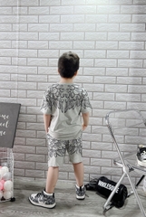 BỘ BÉ TRAI COTTON IN HÌNH CÁNH CHIM (26-42kg)