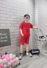 BỘ BÉ TRAI COTTON IN HÌNH CÁNH CHIM (26-42kg)