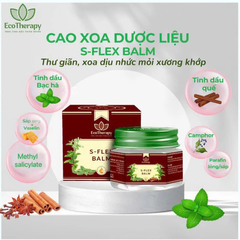 Combo Chăm Sóc Sức Khỏe – Bộ 4 Cao Xoa Dược Liệu Tinh Dầu Thiên Nhiên, Thư Giãn & Hỗ Trợ Giảm Đau EcoTherapy