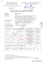 Dầu Massage Eco - Eco Plus 480ml – Dưỡng Ẩm, Thư Giãn, Dầu Nền Pha Tinh Dầu Cho Spa Ecotherapy