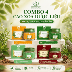 Combo Chăm Sóc Sức Khỏe – Bộ 4 Cao Xoa Dược Liệu Tinh Dầu Thiên Nhiên, Thư Giãn & Hỗ Trợ Giảm Đau EcoTherapy
