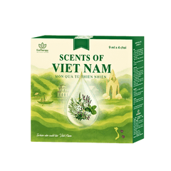 COMBO 4 TINH DẦU BI LĂN SCENTS OF VIETNAM
