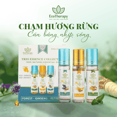 COMBO 3 TINH DẦU BI LĂN THẢO MỘC CAO CẤP