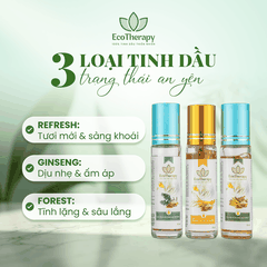 COMBO 3 TINH DẦU BI LĂN THẢO MỘC CAO CẤP