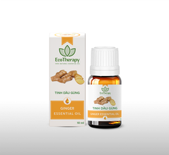 TINH DẦU GỪNG – 10 ml
