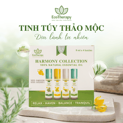 COMBO 4 TINH DẦU BI LĂN THIÊN NHIÊN