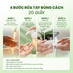 Nước Rửa Tay Chiết Xuất Thiên Nhiên Eco An 300ml