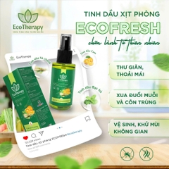 Combo Nước Lau Sàn Quế Mộc EcoTherapy 1000ml & Xịt Khử Mùi Phòng 50ml – Sạch Khuẩn, Thơm Ấm, Đuổi Côn Trùng