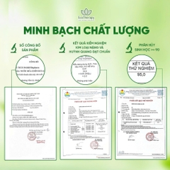 Combo Chăm Sóc Nhà Cửa EcoTherapy – Nước Lau Sàn 1000ml, Rửa Chén 485ml, Rửa Tay 300ml Sạch Khuẩn, An Toàn Từ Thiên Nhiên