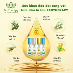 Combo Tinh Dầu Bi Lăn EcoTherapy 11 Loại – Thư Giãn, Cân Bằng, Chăm Sóc Sức Khỏe Tự Nhiên EcoTherapy