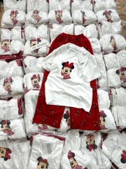 SET ÁO MICKEY QUẦN ĐỎ NỮ (GIÁ GIẢM)