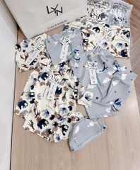 ĐỒ BƠI - SET 2 BỘ BIKINI ANIMALS BÉ TRAI( xả 99k )
