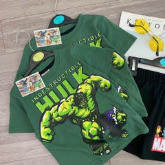 BỘ SIÊU ANH HÙNG HULK BÉ TRAI - Xả50k