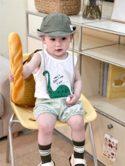 SET 2 BỘ CỘC KHỦNG LONG VÀ BA LỖ BÉ TRAI SẴN