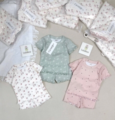 SET 3 BỘ HOA NHÍ HỒNG XANH TRẮNG BÉ GÁI(XẢ 139k)