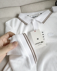 ÁO POLO LASCOT CỘC TAY NAM (Xả 40K)
