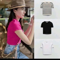 SET 3 ÁO ZIP ZR CỘC TAY NỮ(XẢ 115k)