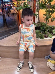 SET 2 BỘ BA LỖ SƯ TỬ VOI HƯƠU BÉ TRAI (SALE 89k)