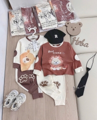 SET 2 BỘ ĐÁP TAY CHÂN ANIMALS