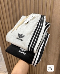 SET 2 QUẦN NỈ NỮ DAS THU ĐÔNG