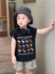 SET 3 ÁO PHÔNG ĐEN TRẮNG XANH KHỦNG LONG BÉ TRAI