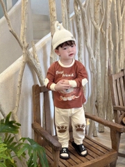 SET 2 BỘ ĐÁP TAY CHÂN ANIMALS