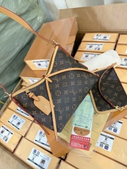 TÚI XÁCH - TÚI LV CARRYALL HỘP NAM CHÂM NỮ