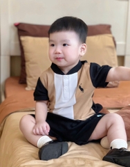 SET 2 ÁO POLO THÊU NGỰC PHỐI MÀU BÉ TRAI SẴN (XẢ 49k)