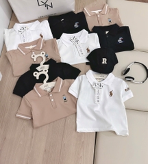 SET 3 ÁO POLO CỔ ĐỨC TRẮNG NÂU ĐEN BÉ TRAI SẴN (sale 97k)