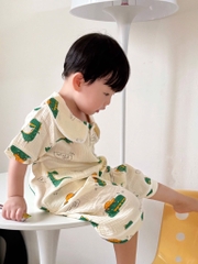 SET BỘ XÔ MUSLIN HOẠ TIẾT KHỦNG LONG BÉ TRAI