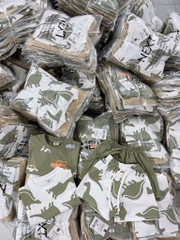 SÉT 2 BỘ COTTON CỘC KHỦNG LONG - GẤU TONE XANH BÉ TRAI( 70k)