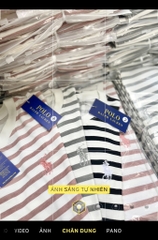 ÁO PHÔNG NỮ KẺ SỌC THÊU POLO 3M NEW(xả 48k)
