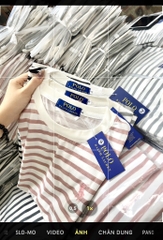 ÁO PHÔNG NỮ KẺ SỌC THÊU POLO 3M NEW(xả 48k)