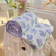ĐỒ PHÒNG NGỦ - CHĂN ĐŨI ĐẬU NÀNH(XẢ 99k)